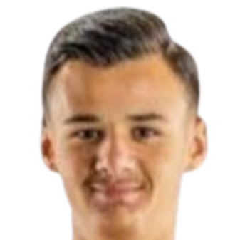 阿拉杰貝戈維奇